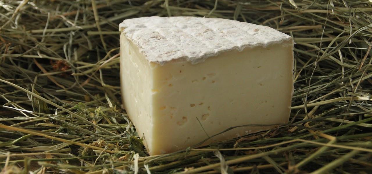 Tomme