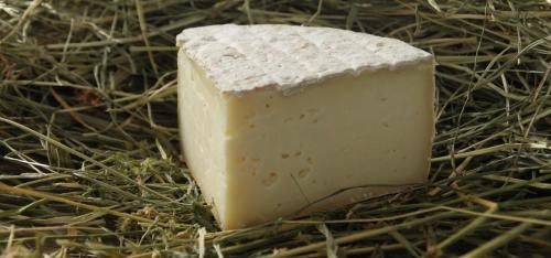 Tomme